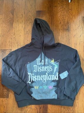 NWT- Walt Disney’s Disneyland hooded sweatshirt-large